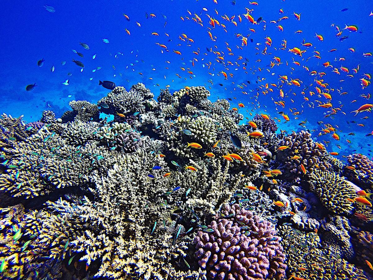 Meno Dream Resort Gili Meno Eksteriør billede